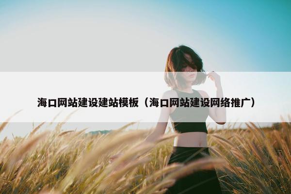 海口网站建设建站模板（海口网站建设网络推广）