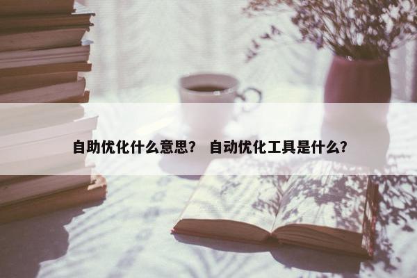 自助优化什么意思？ 自动优化工具是什么？