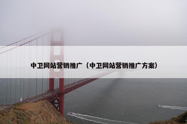 中卫网站营销推广（中卫网站营销推广方案）