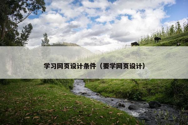 学习网页设计条件（要学网页设计）