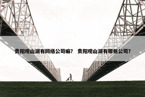 贵阳观山湖有网络公司嘛？ 贵阳观山湖有哪些公司？