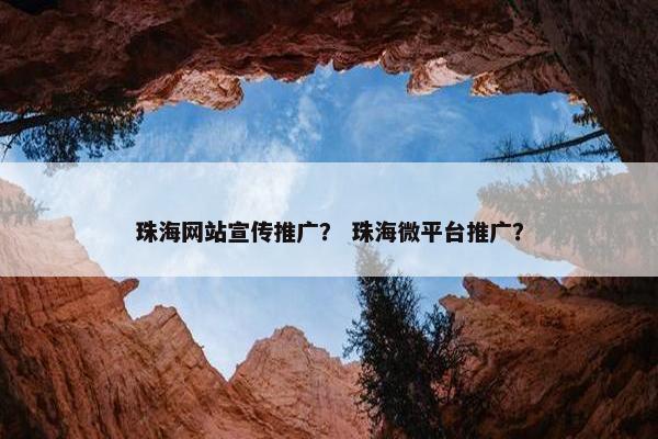 珠海网站宣传推广？ 珠海微平台推广？