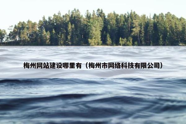 梅州网站建设哪里有（梅州市网络科技有限公司）
