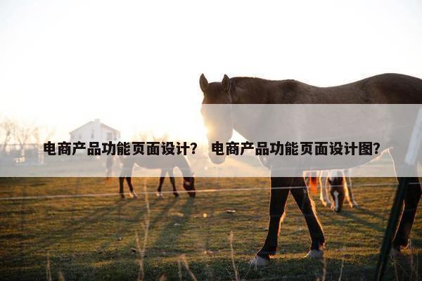 电商产品功能页面设计？ 电商产品功能页面设计图？