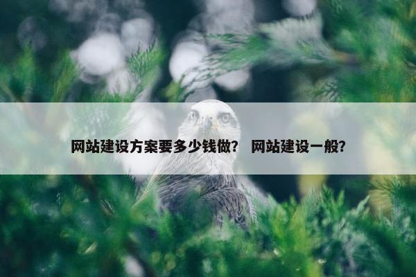 网站建设方案要多少钱做？ 网站建设一般？