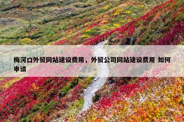 梅河口外贸网站建设费用，外贸公司网站建设费用 如何申请