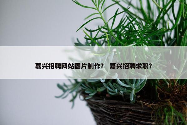 嘉兴招聘网站图片制作？ 嘉兴招聘求职？