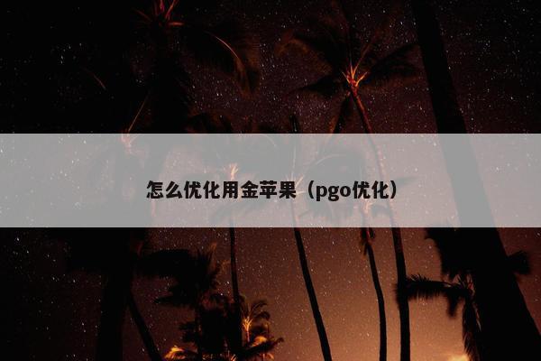 怎么优化用金苹果（pgo优化）