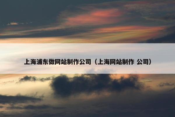 上海浦东做网站制作公司（上海网站制作 公司）