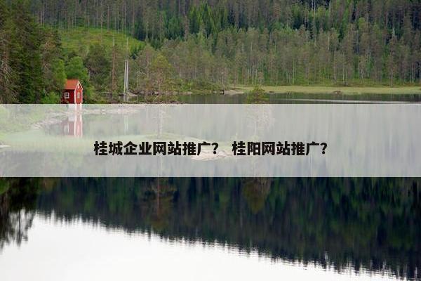 桂城企业网站推广？ 桂阳网站推广？
