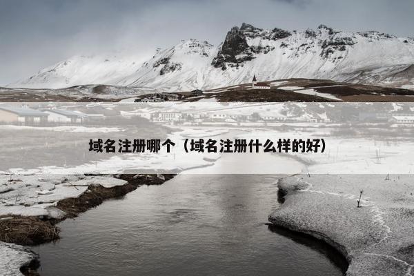 域名注册哪个（域名注册什么样的好）