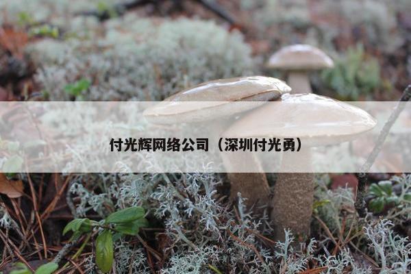 付光辉网络公司（深圳付光勇）