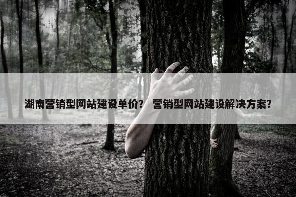 湖南营销型网站建设单价？ 营销型网站建设解决方案？