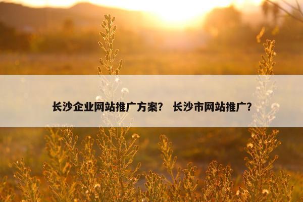 长沙企业网站推广方案？ 长沙市网站推广？