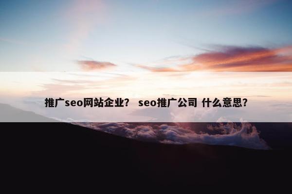 推广seo网站企业？ seo推广公司 什么意思？