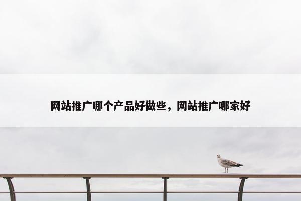网站推广哪个产品好做些，网站推广哪家好