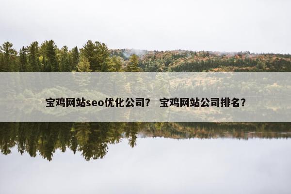 宝鸡网站seo优化公司？ 宝鸡网站公司排名？