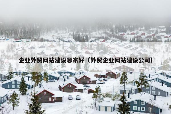 企业外贸网站建设哪家好（外贸企业网站建设公司）