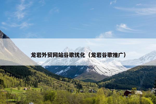 龙岩外贸网站谷歌优化（龙岩谷歌推广）