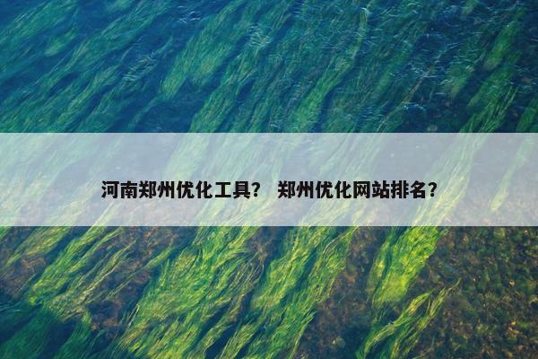 河南郑州优化工具？ 郑州优化网站排名？