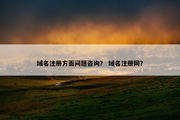 域名注册方面问题咨询？ 域名注册网？