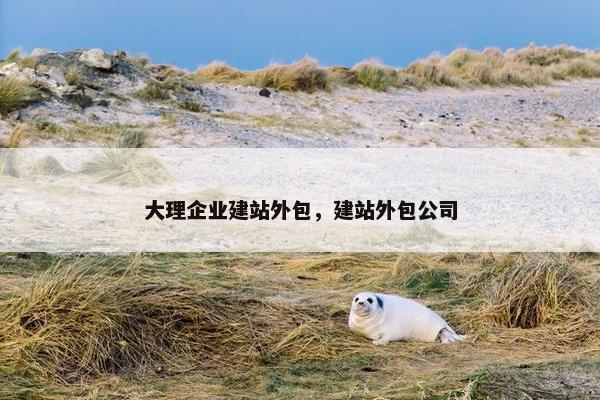 大理企业建站外包，建站外包公司