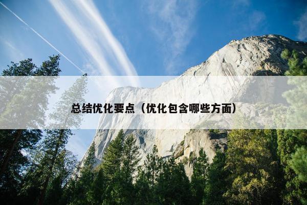 总结优化要点（优化包含哪些方面）