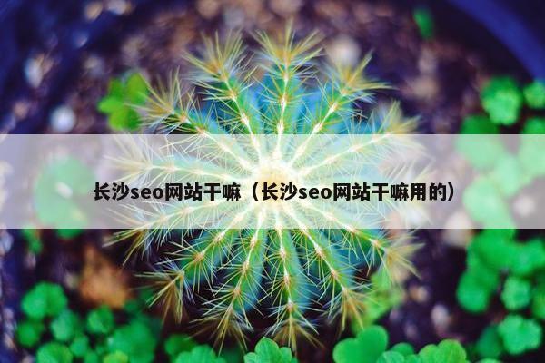 长沙seo网站干嘛（长沙seo网站干嘛用的）