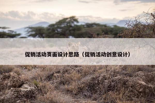 促销活动页面设计思路（促销活动创意设计）