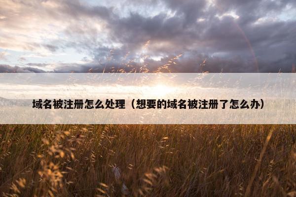 域名被注册怎么处理（想要的域名被注册了怎么办）