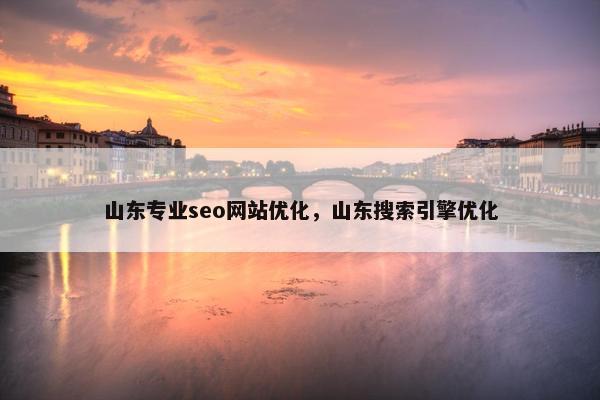 山东专业seo网站优化，山东搜索引擎优化