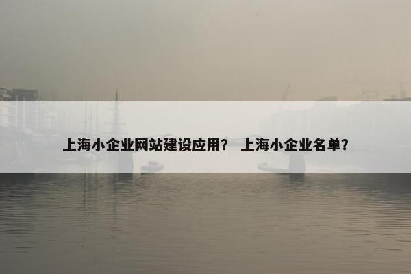 上海小企业网站建设应用？ 上海小企业名单？