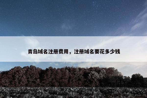 青岛域名注册费用，注册域名要花多少钱
