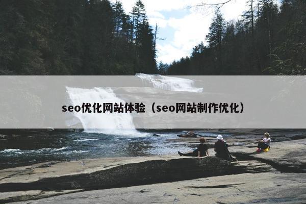 seo优化网站体验（seo网站制作优化）