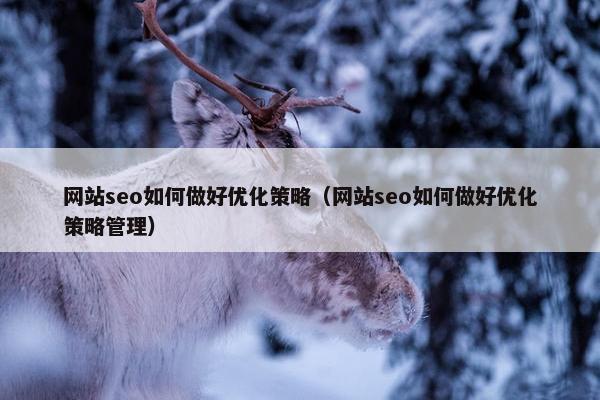 网站seo如何做好优化策略（网站seo如何做好优化策略管理）
