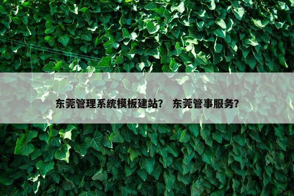 东莞管理系统模板建站？ 东莞管事服务？