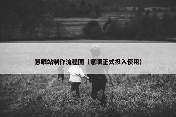 慧眼站制作流程图（慧眼正式投入使用）