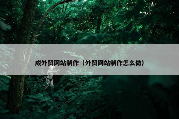 成外贸网站制作（外贸网站制作怎么做）