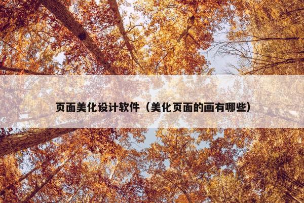页面美化设计软件（美化页面的画有哪些）