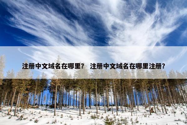 注册中文域名在哪里？ 注册中文域名在哪里注册？