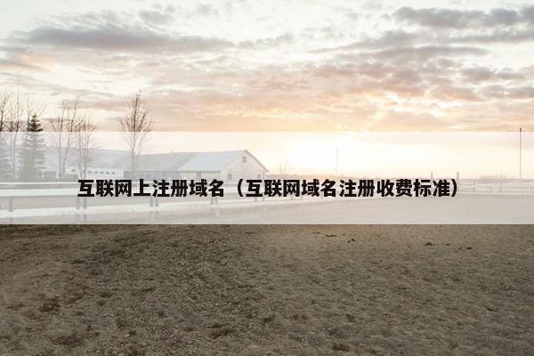互联网上注册域名（互联网域名注册收费标准）