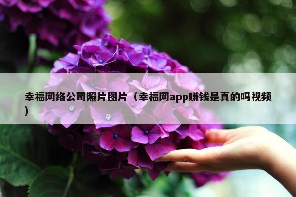 幸福网络公司照片图片（幸福网app赚钱是真的吗视频）