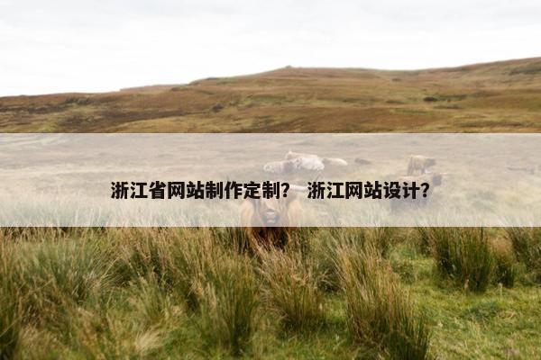 浙江省网站制作定制？ 浙江网站设计？