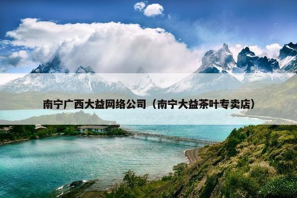 南宁广西大益网络公司（南宁大益茶叶专卖店）