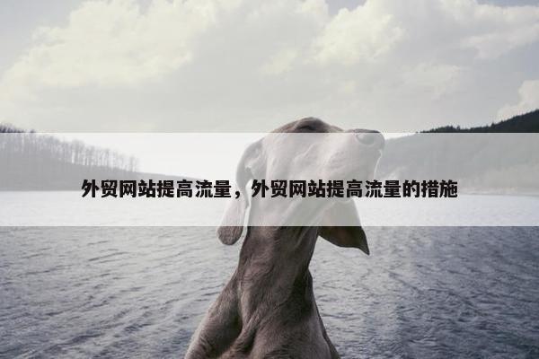 外贸网站提高流量，外贸网站提高流量的措施