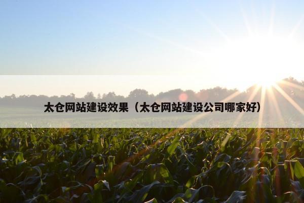 太仓网站建设效果（太仓网站建设公司哪家好）