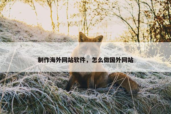 制作海外网站软件，怎么做国外网站