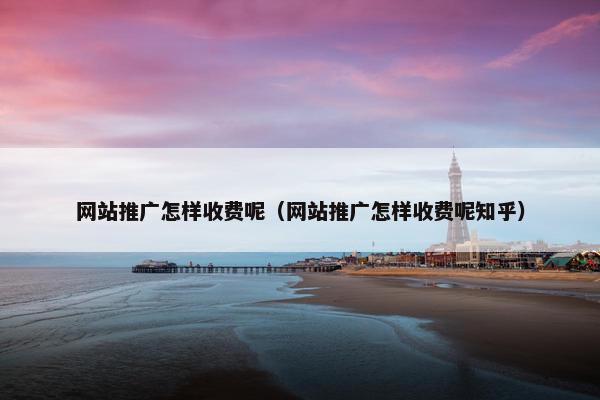 网站推广怎样收费呢（网站推广怎样收费呢知乎）