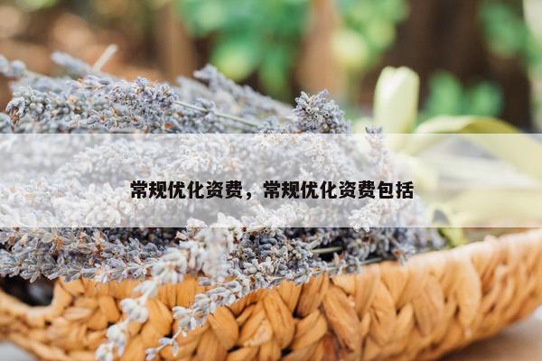 常规优化资费，常规优化资费包括