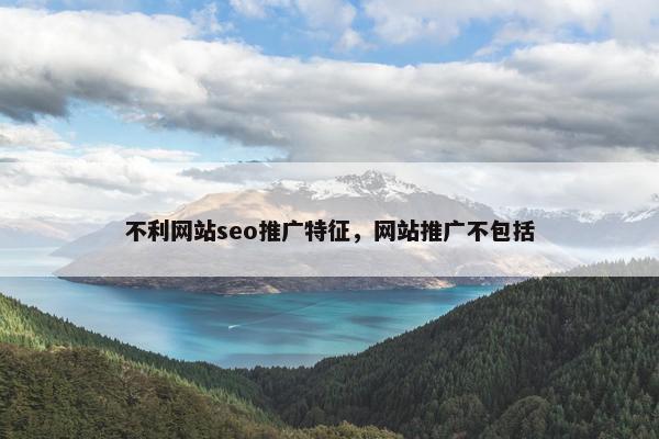 不利网站seo推广特征，网站推广不包括